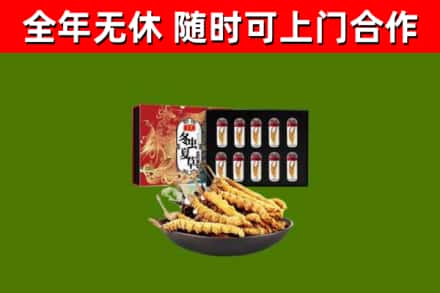 株洲烟酒回收冬虫夏草礼盒.jpg